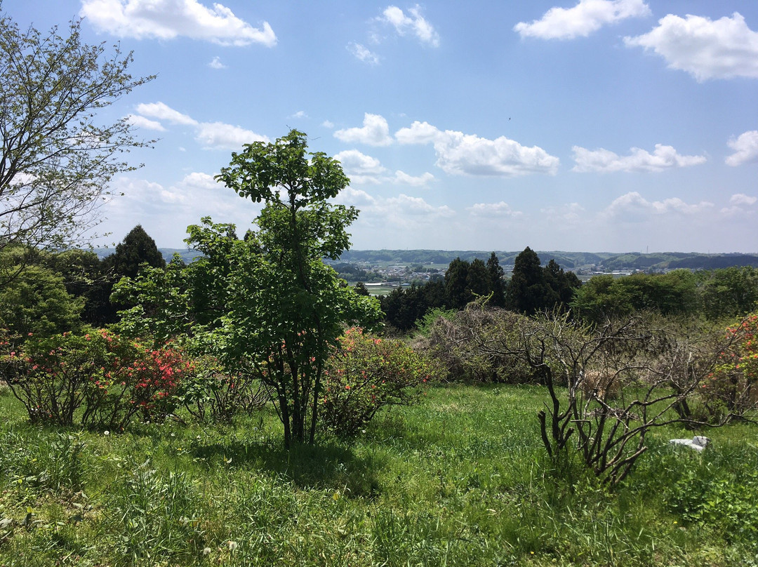 Iwamura Kazuo Picture-Book Hill Museum-那珂川町必去景点