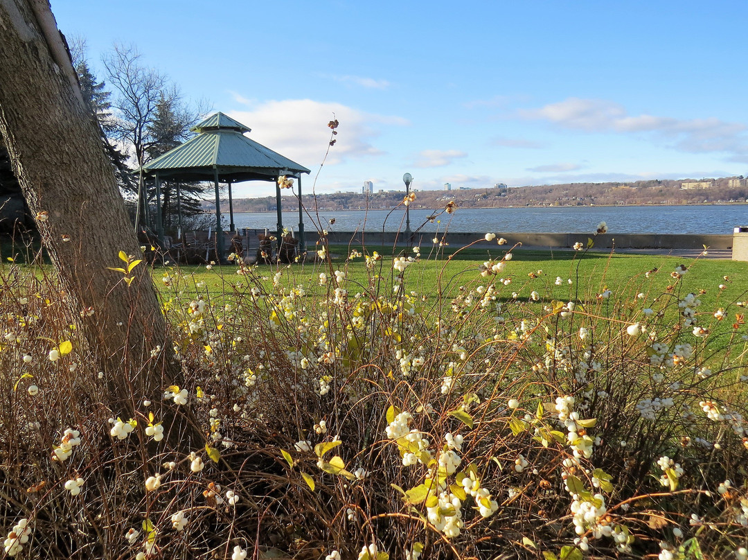 Fresque De La Bibliothèque Lauréat-vallière-李维斯必去景点