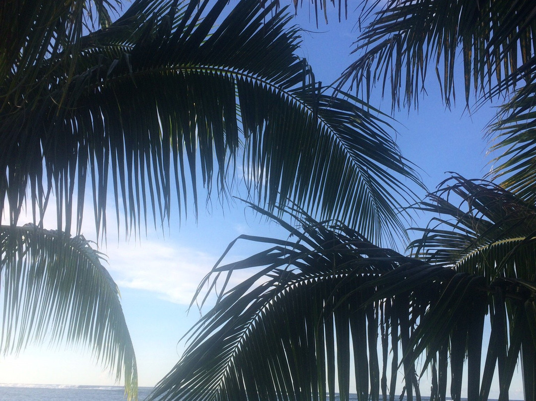 Tanu Beach Fales主图