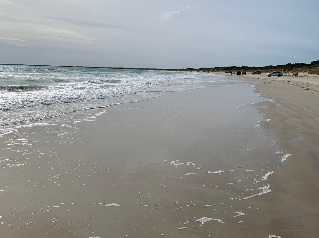 Long Beach-罗布必去景点