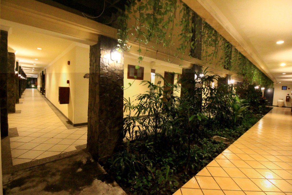 莲花园饭店主图