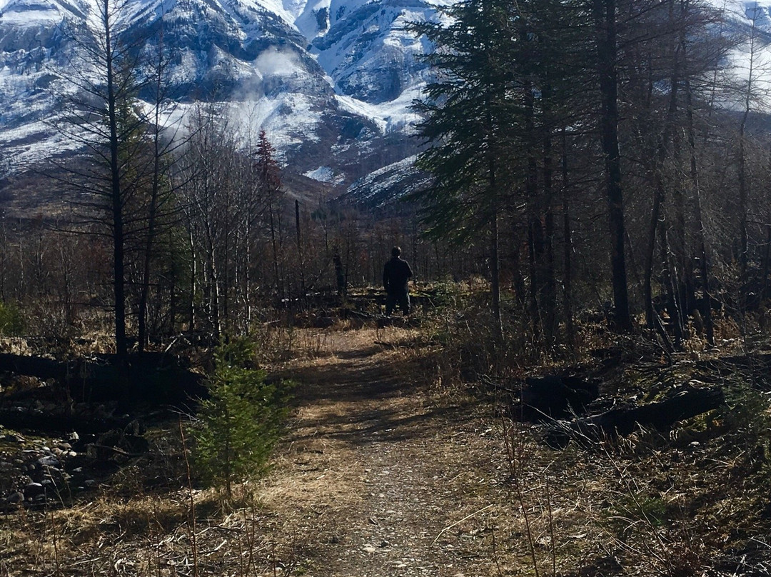 Kootenay National Park Visitor Centre景点图片