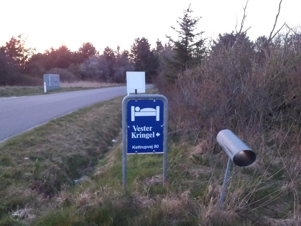 Vester Kringel-官方