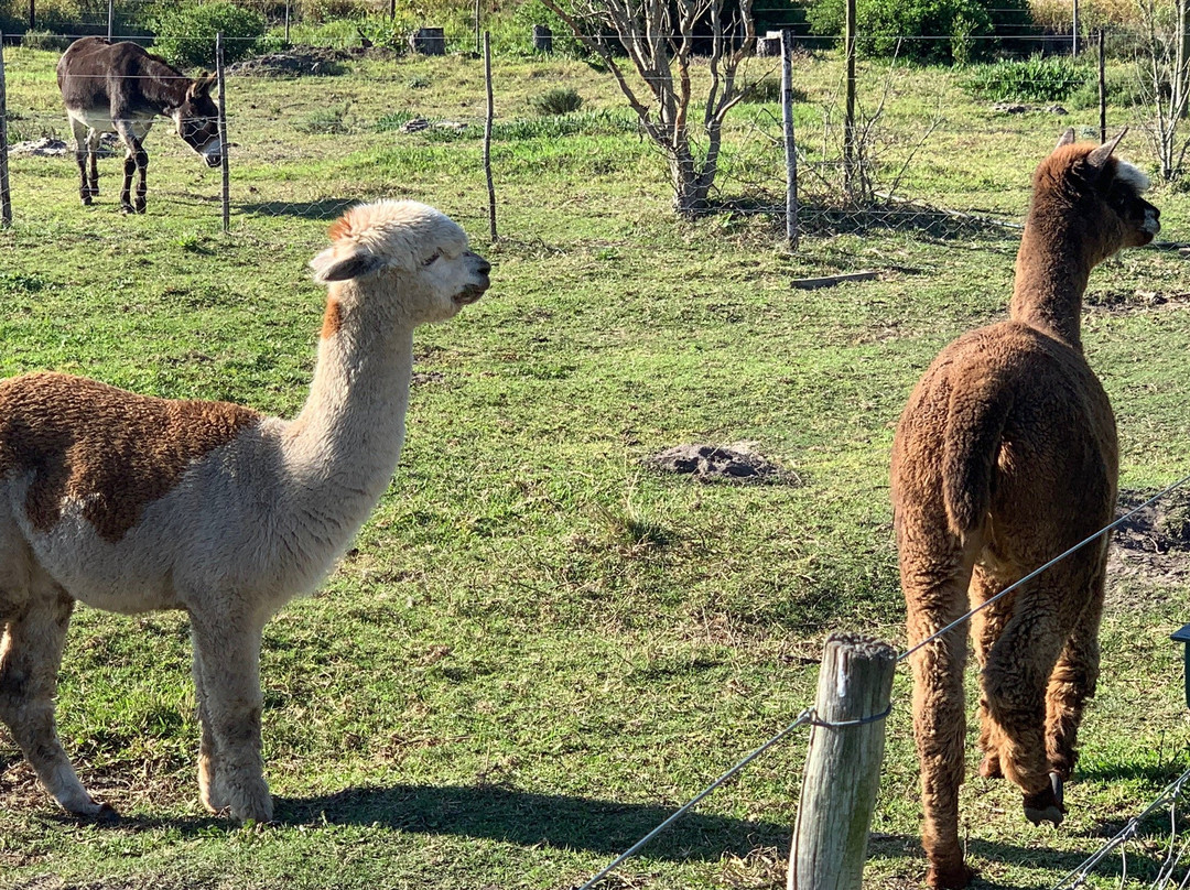 Boplaas Garden Route Tasting Room-克莱恩布拉克河必去景点