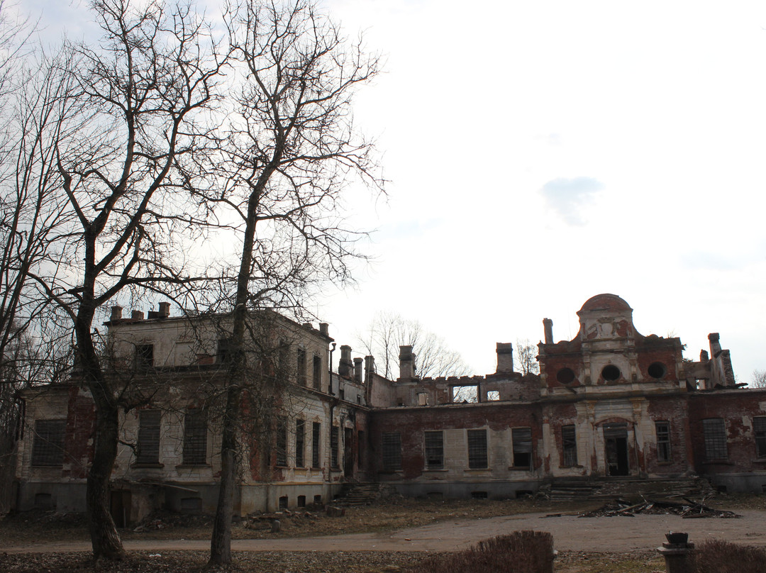 Volyshovo Manor景点图片