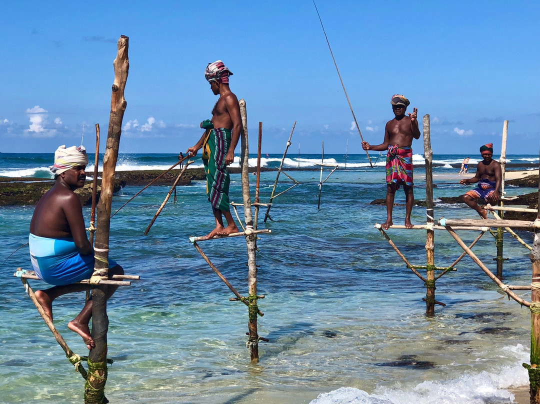 Stilt Fishermen Sri Lanka景点图片