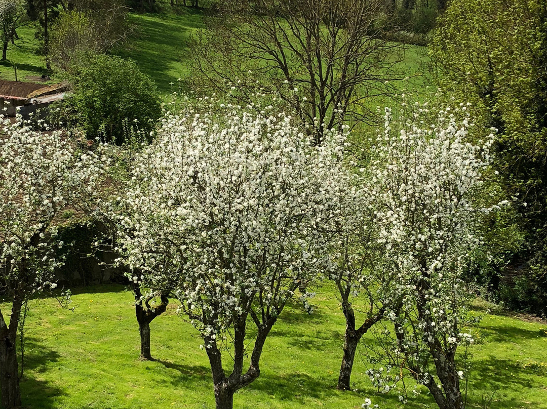 A l'Aube des Volcans主图