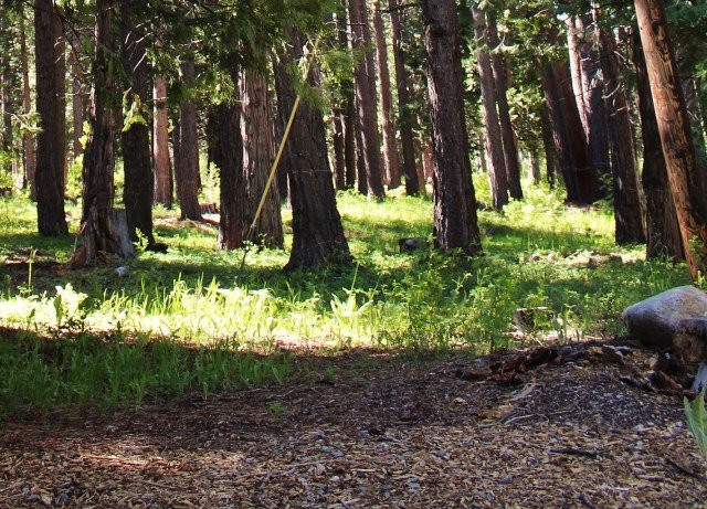 Fallen Leaf Lake Trail-南太浩湖必去景点