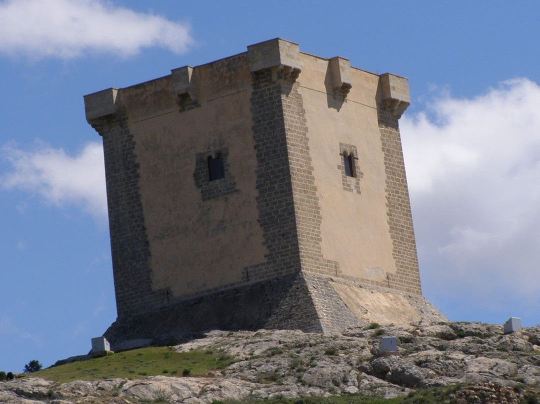 Castillo de Cocentaina景点图片