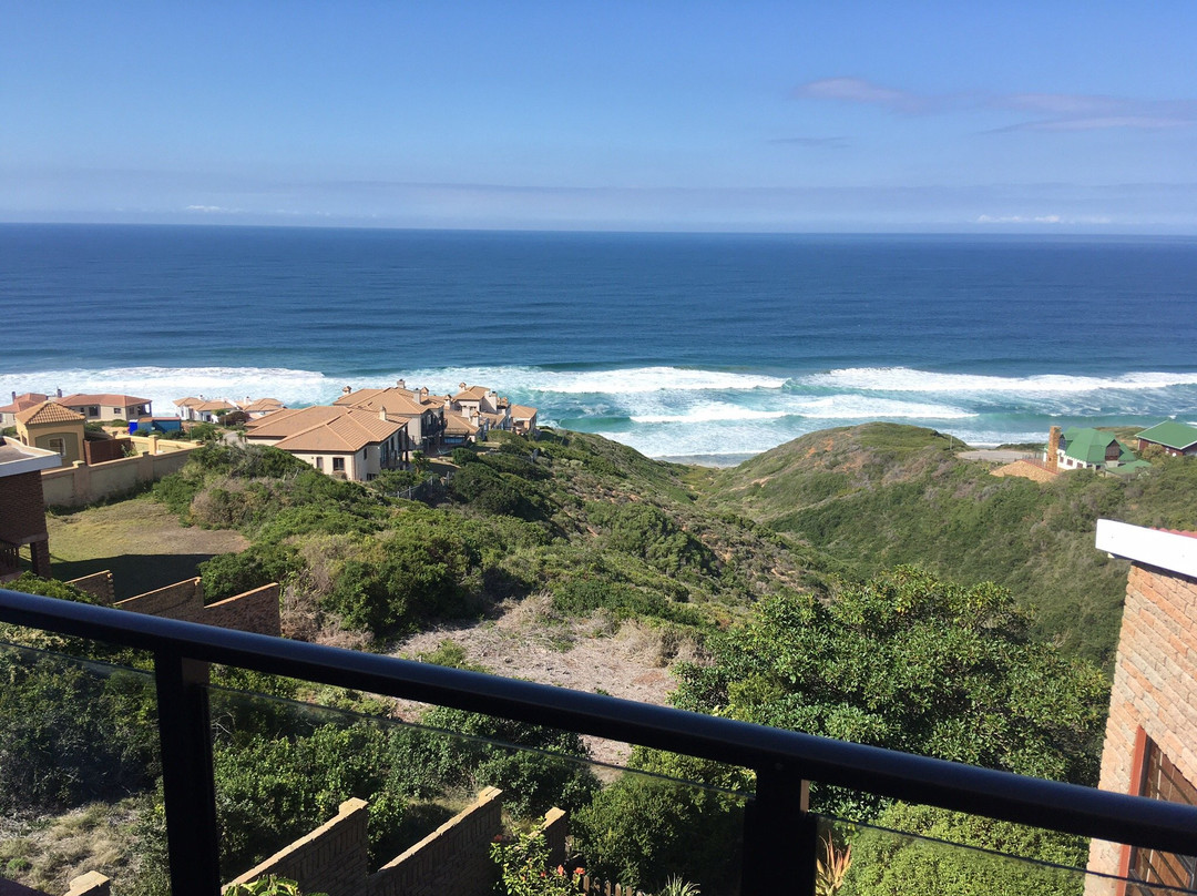 Lilies & Leopards B&B主图