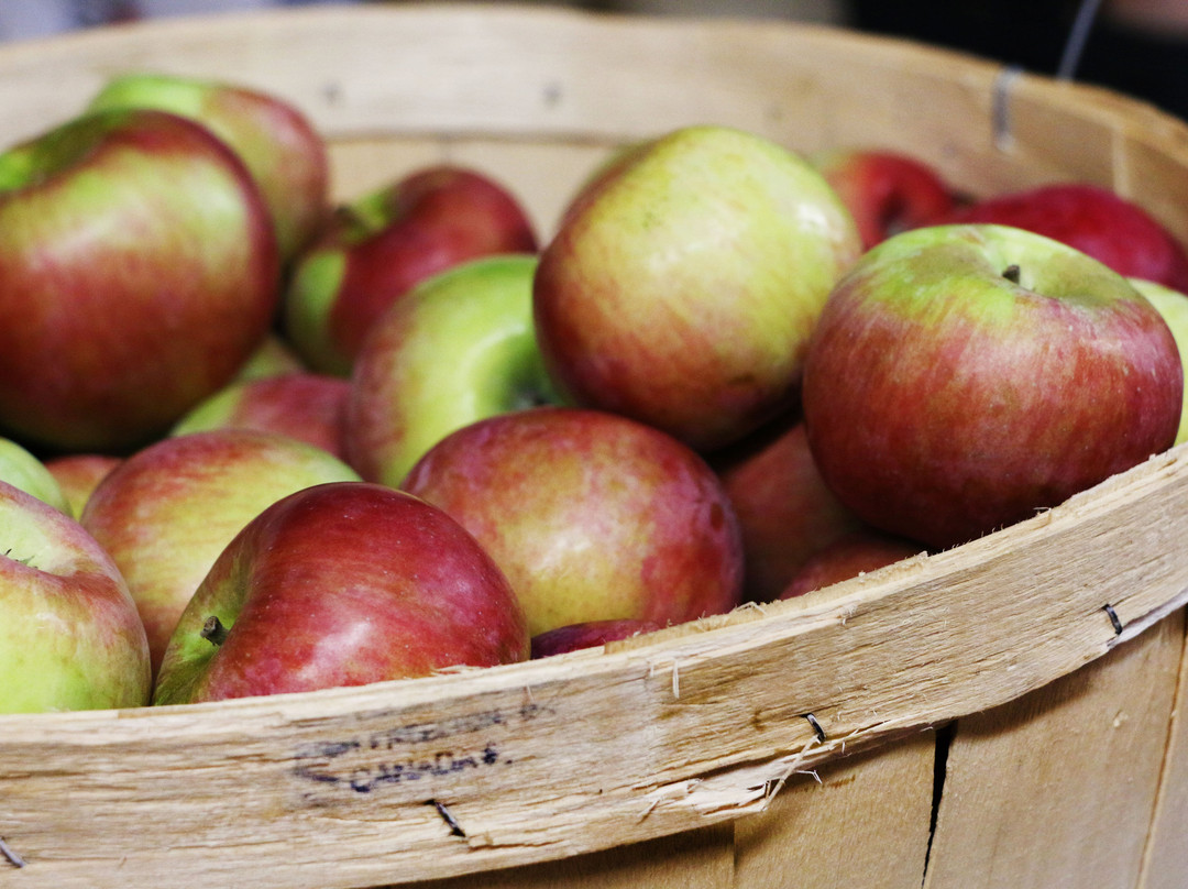 Guelph Farmers' Market-贵湖必去景点