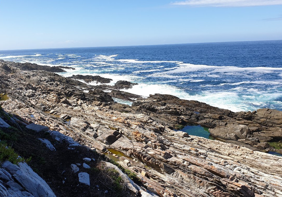 The Dolphin Trail-暴风河必去景点