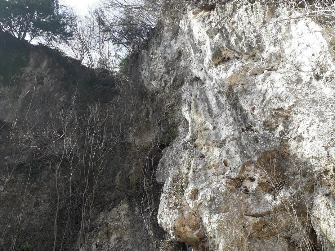 Cascate della Valganna景点图片