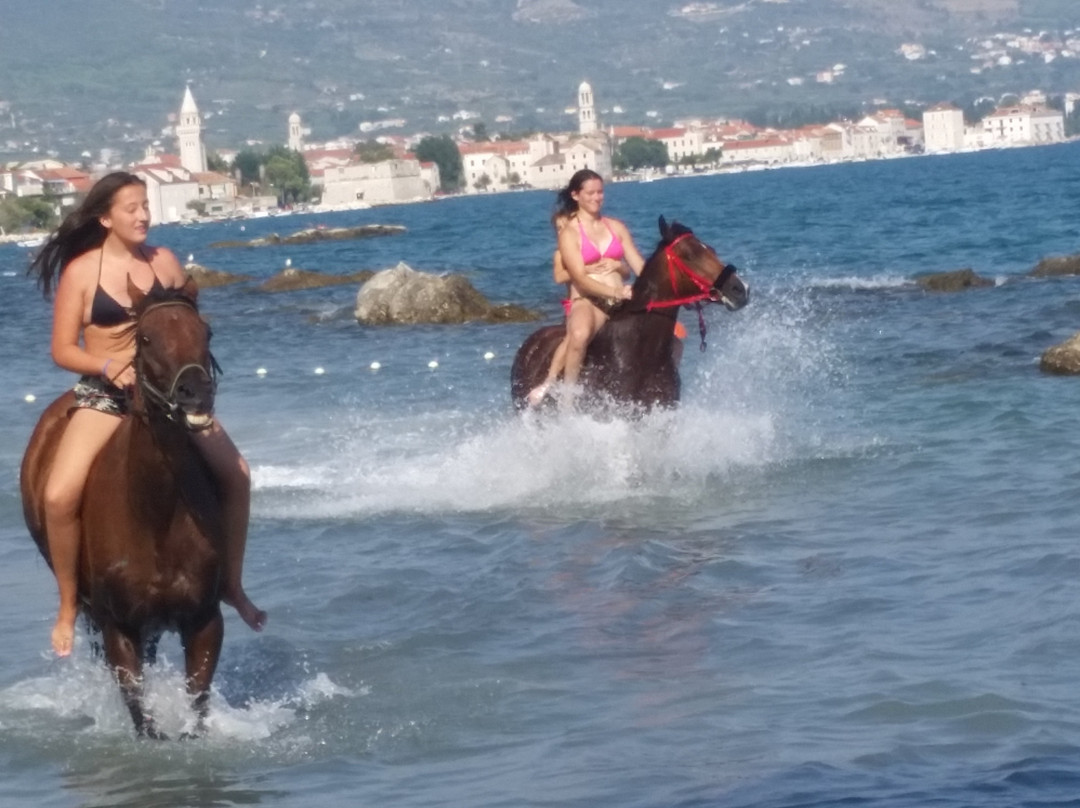 Konjički Klub Trogir "Hanako"景点图片