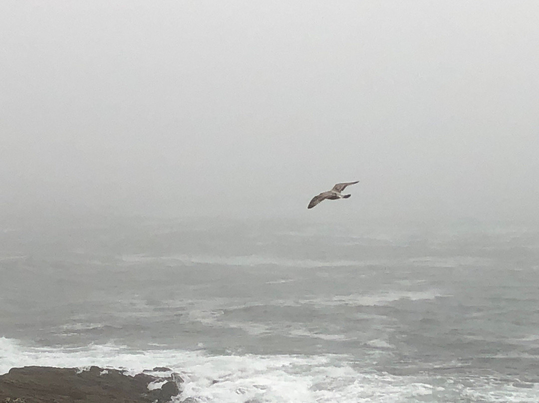 Quiberon Plongee-基伯龙必去景点