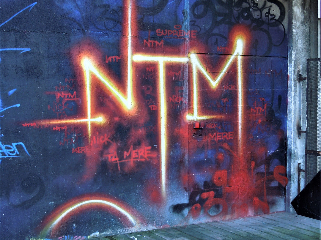 Fresque NTM-塞纳-圣但尼必去景点