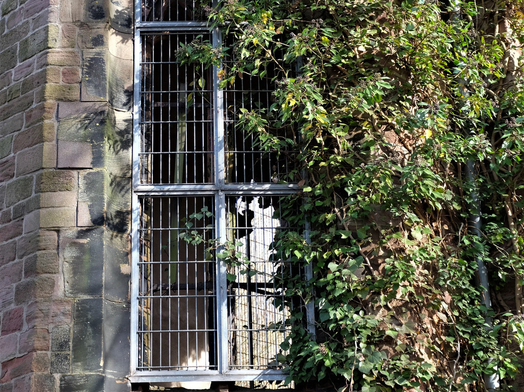 Stummsche Kapelle-Neunkirchen必去景点