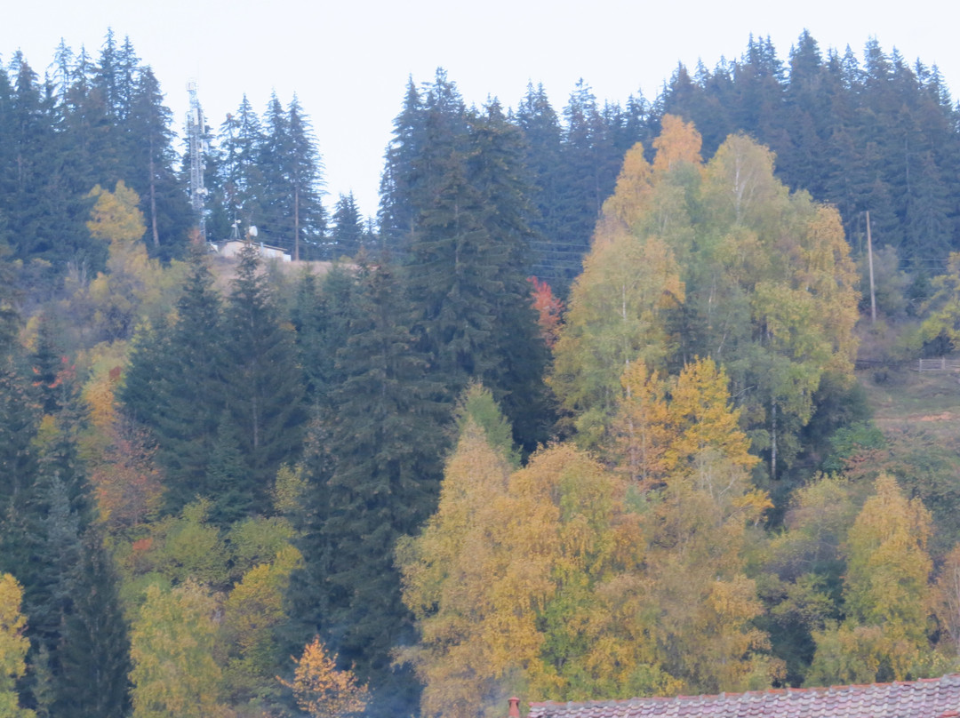 Family Hotel Savov主图