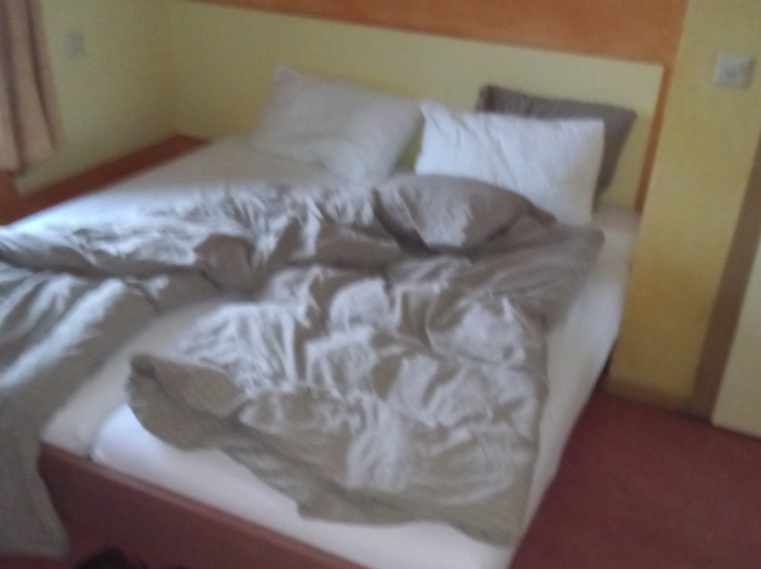 Hotel La Promenade主图