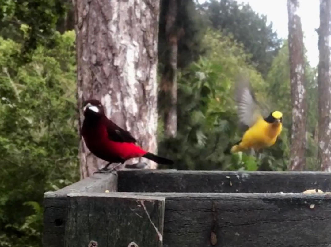 La Semilla Ecolodge主图