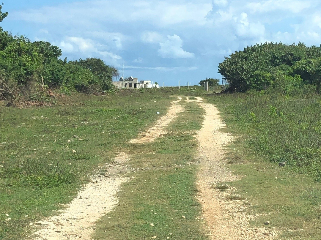 Morant Point Lighthouse景点图片