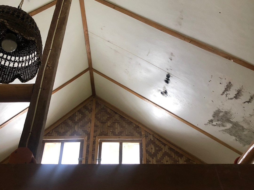 玛雅人天然花园酒店主图