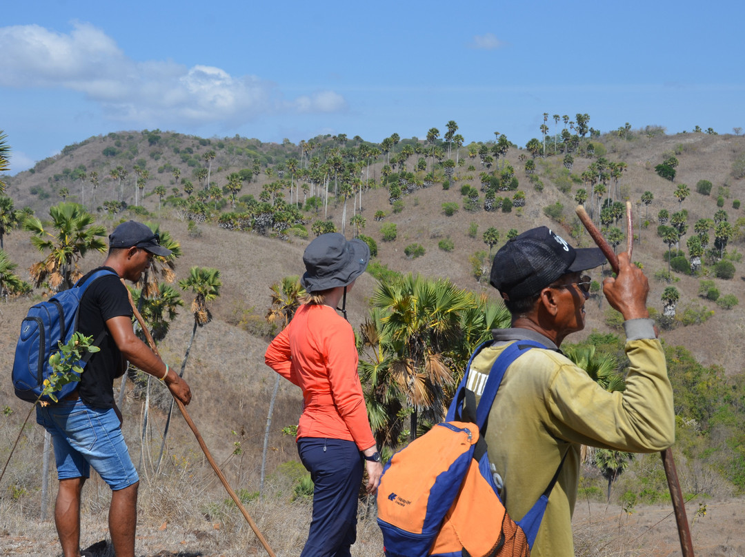 Louis Komodo and Flores Island Tours景点图片