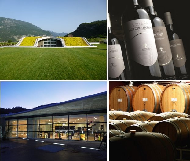 Cantina Mori Colli Zugna景点图片