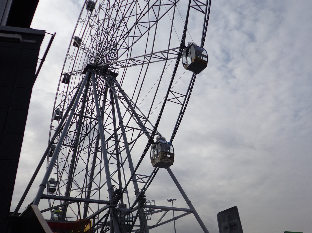 Ferris Wheel 360景点图片