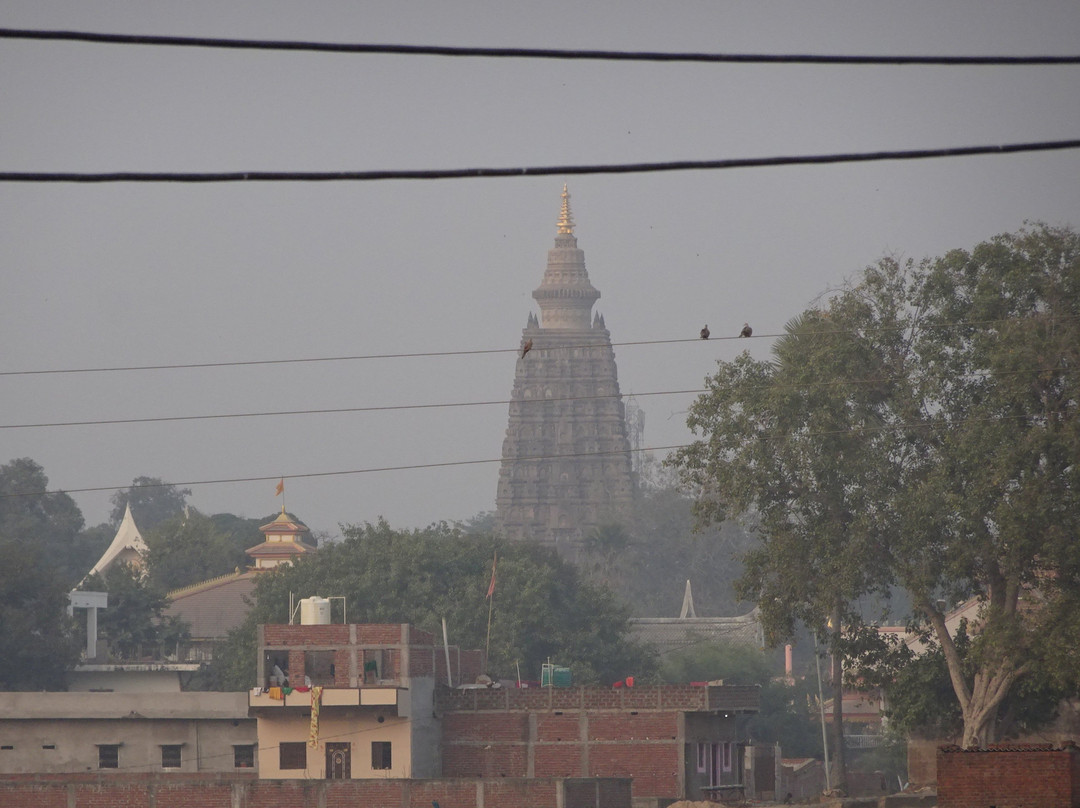 Deedi's Guesthouse主图