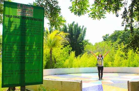 El Huerto Del Bambu主图