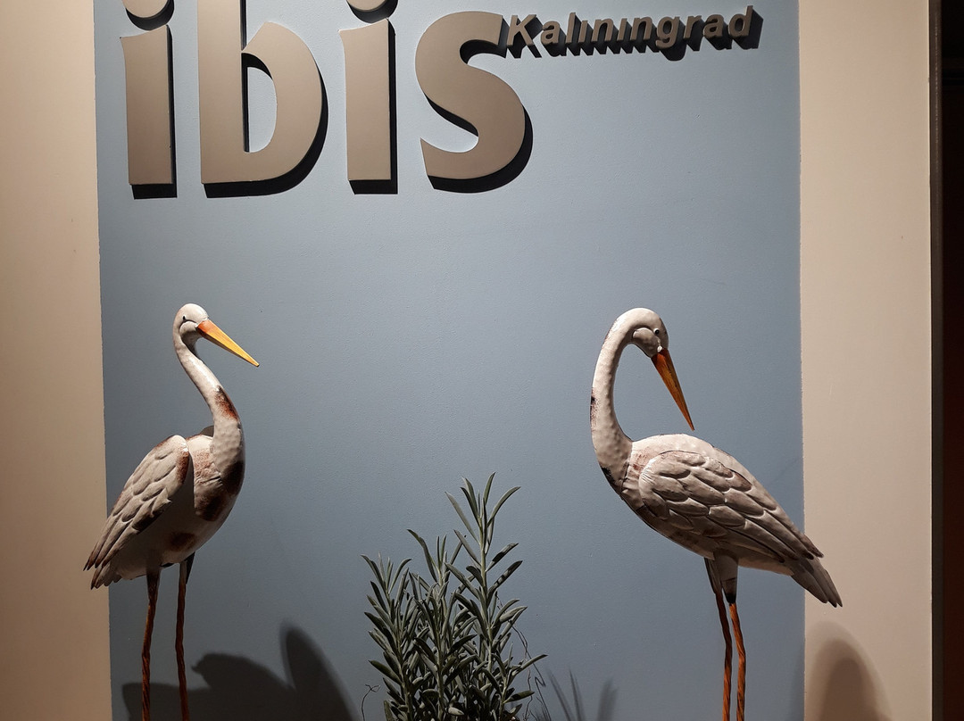ibis Kaliningrad Center主图