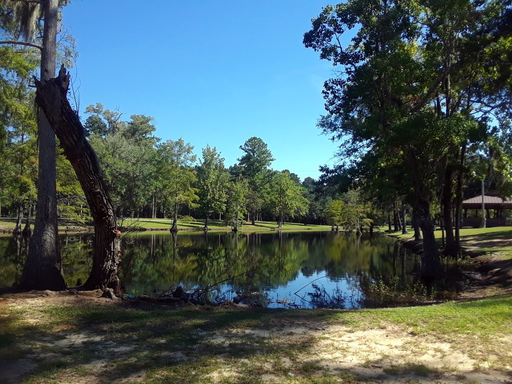 Live Oak Landing景点图片