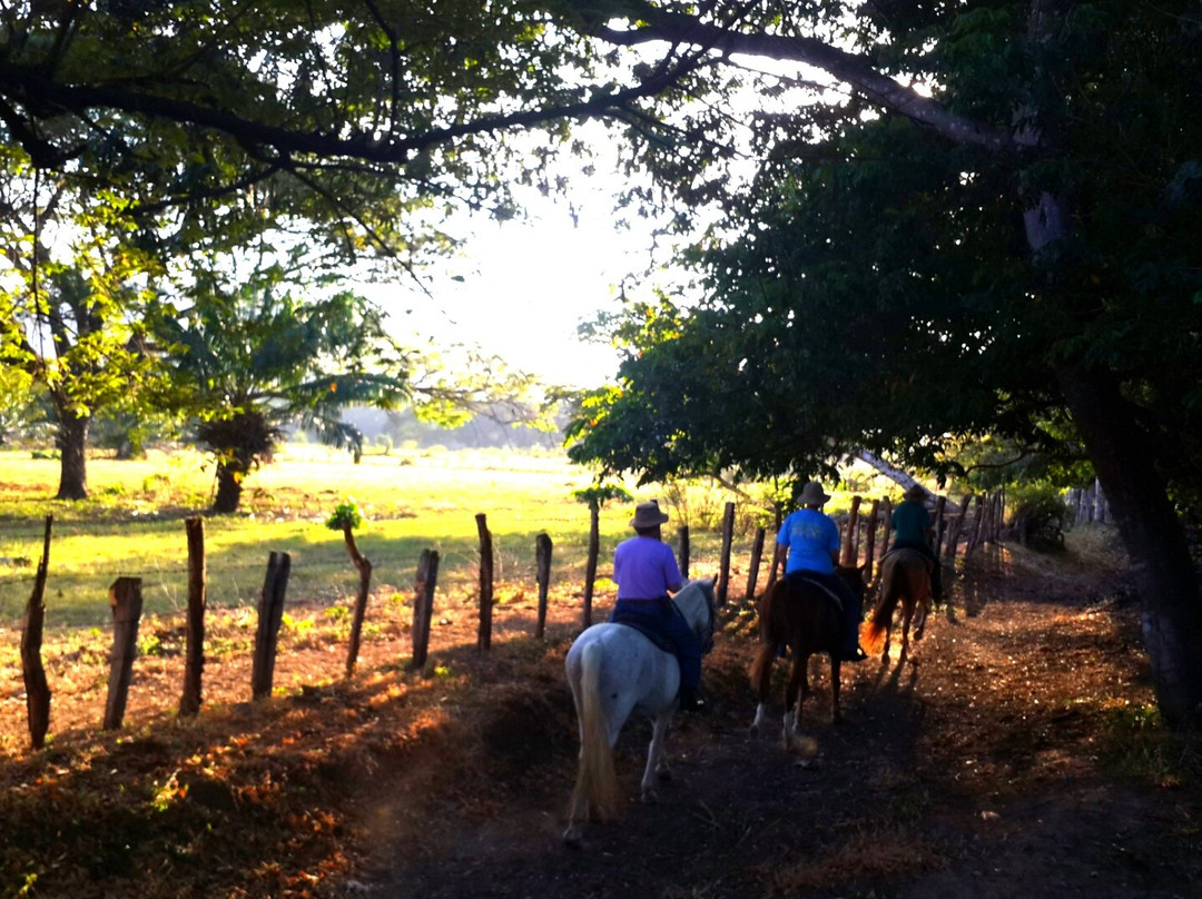 Casagua Horses Tours景点图片
