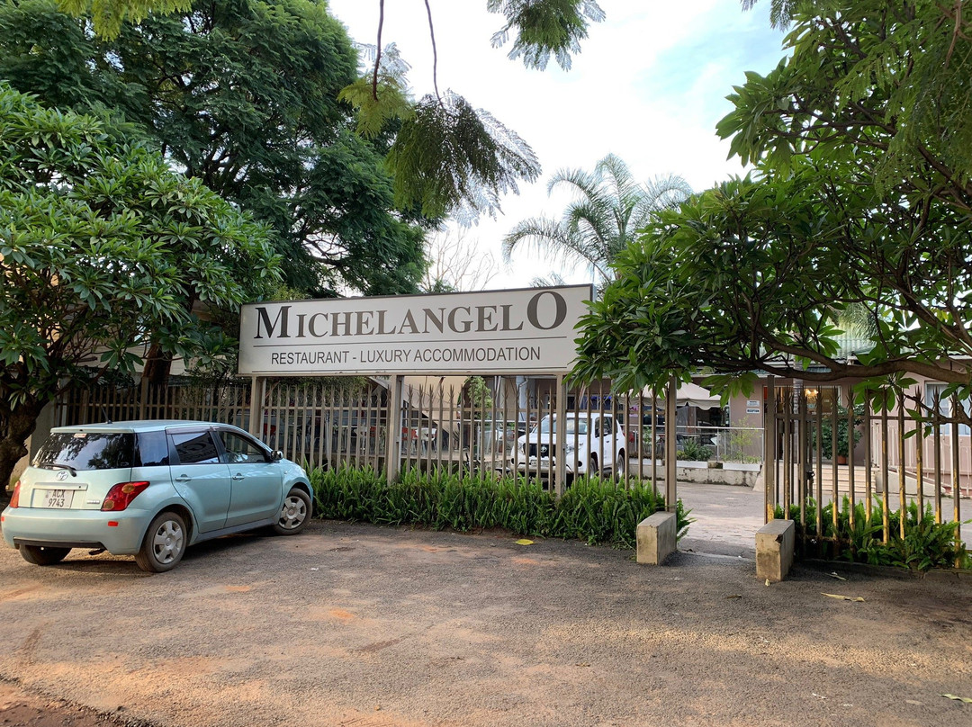 Michelangelo主图