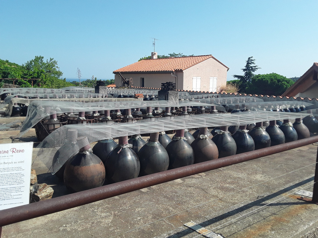 Banyuls Domaine Reno景点图片