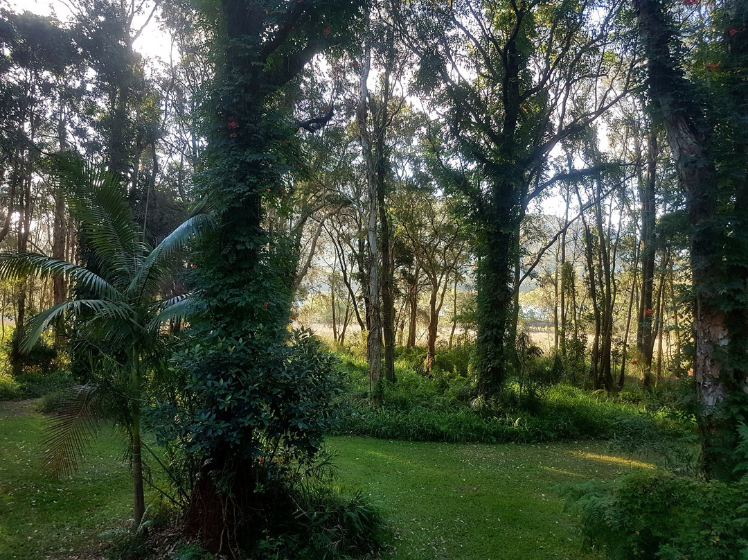 Treehouse Retreat at Diamond Waters主图