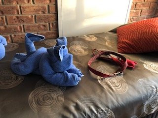 Jolly Swagman Motor Inn主图