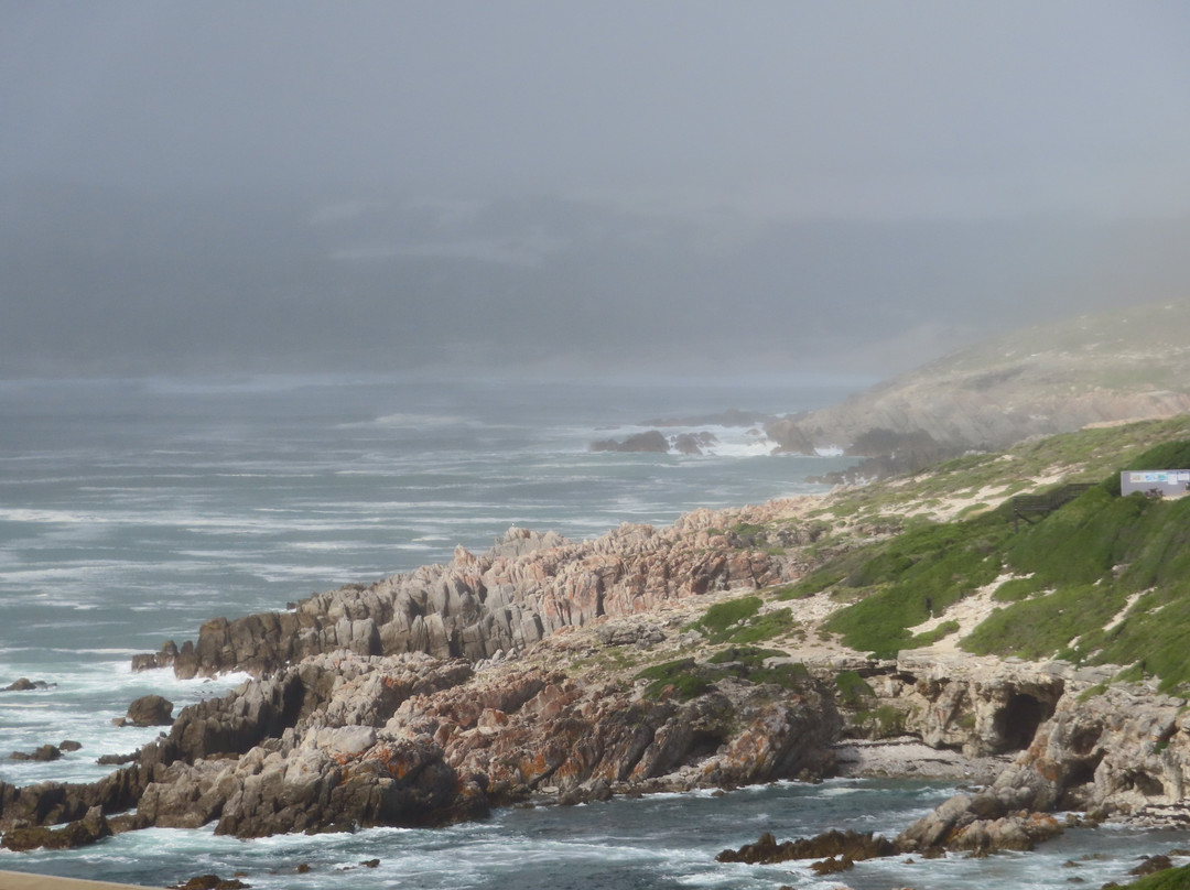 Sea Star Cliff主图