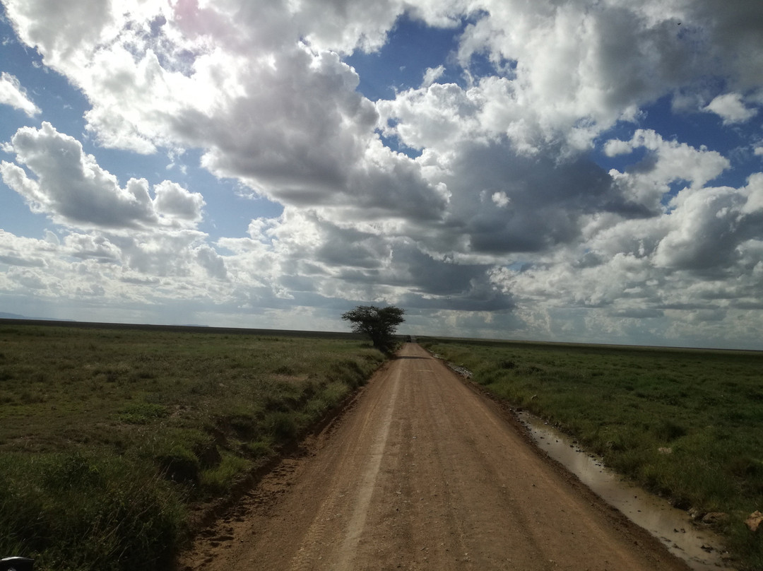 Tarry Adventures and Safaris-莫西必去景点