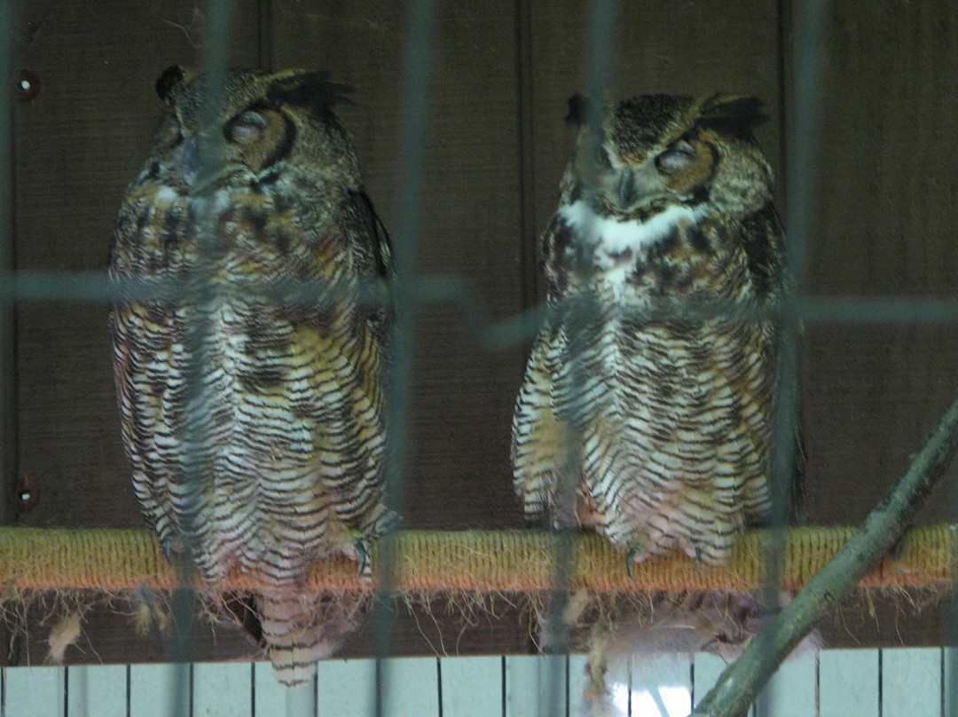 Blandford Nature Center-大急流市必去景点