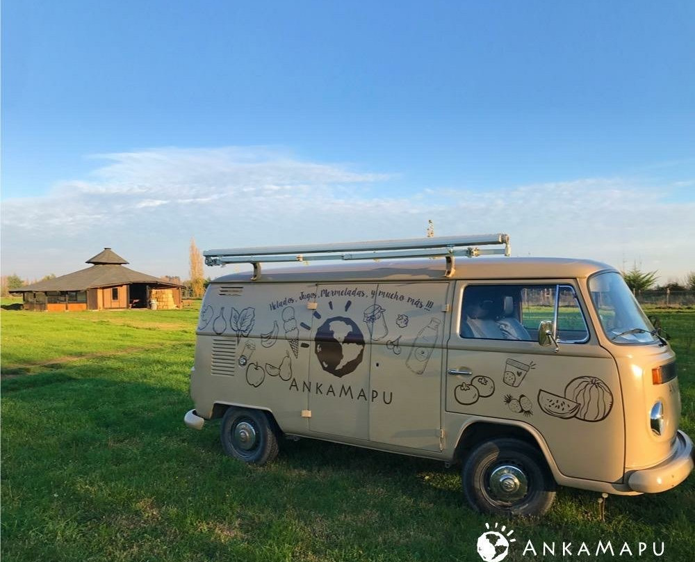 Agricola Anka Mapu-San Clemente必去景点