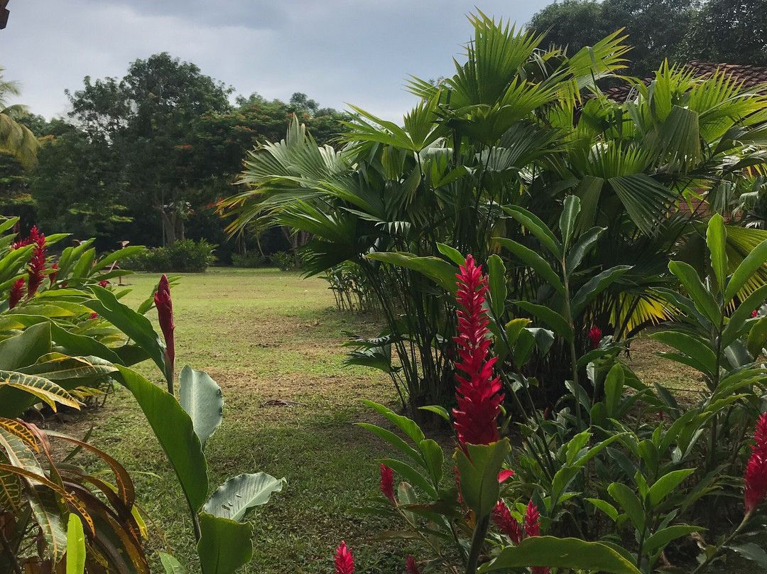 DM Hoteles Tarapoto主图