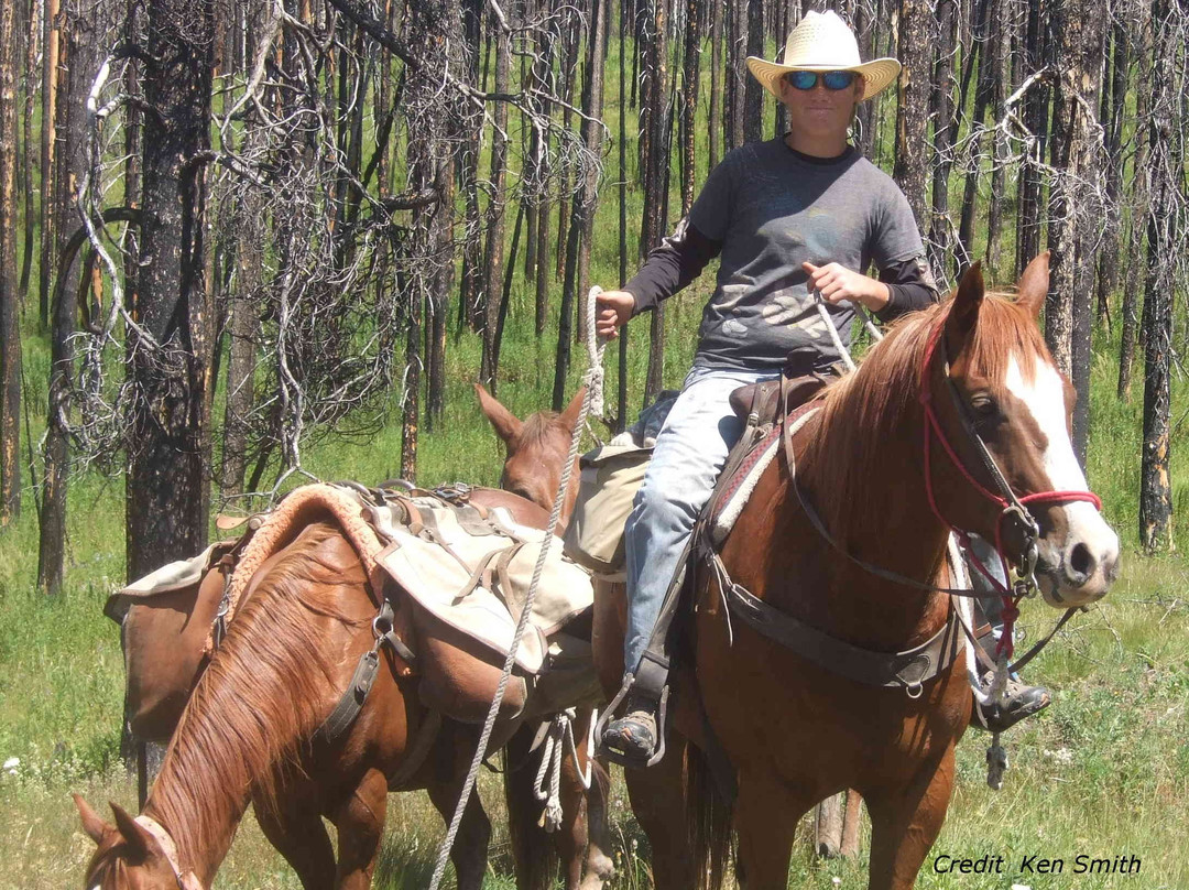 A Lazy H Outfitters-Choteau必去景点