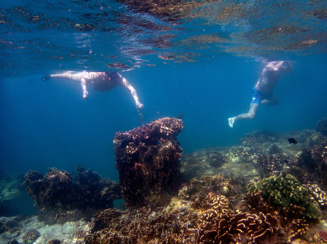 Bermuda Beach Resort主图