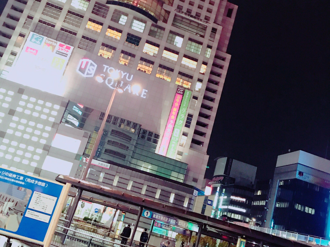 Hachioji Tokyu Square景点图片