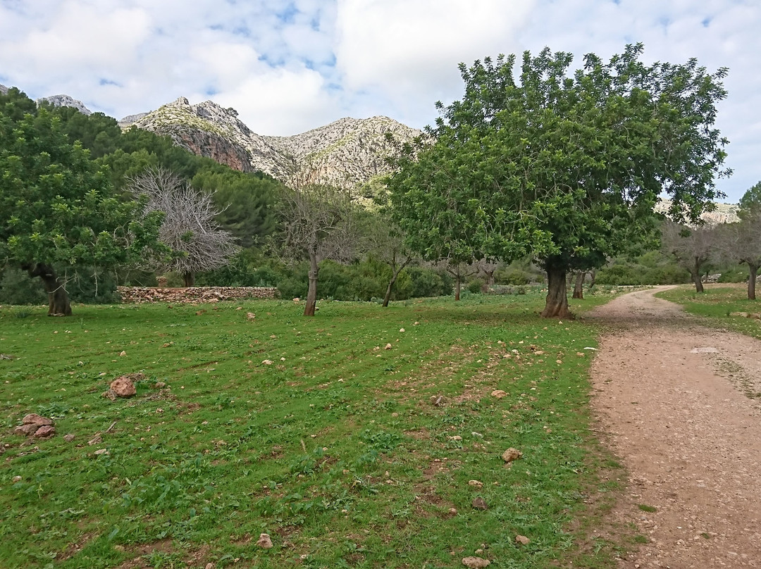 Es Capdella旅游景点-Finca Galatzo