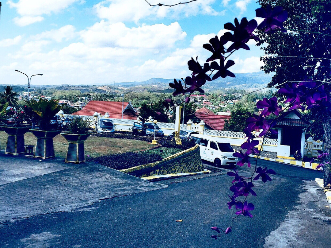 Watansoppeng (Bat City)景点图片