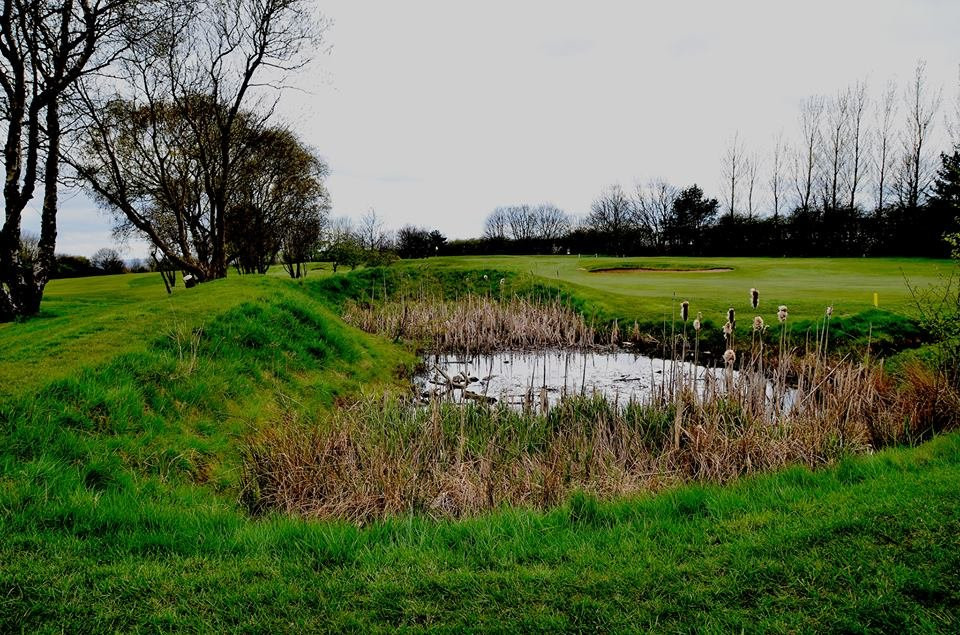 Ravensworth Golf Club景点图片