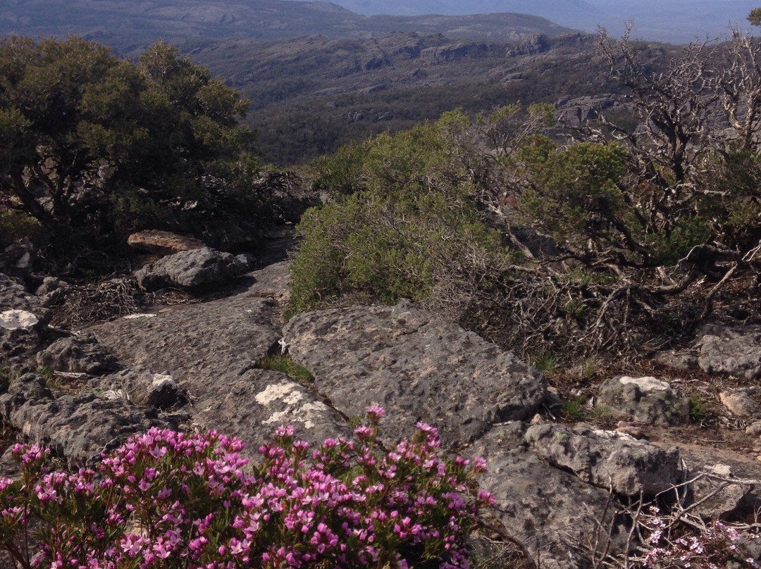 Mt Thackeray-Dunkeld必去景点